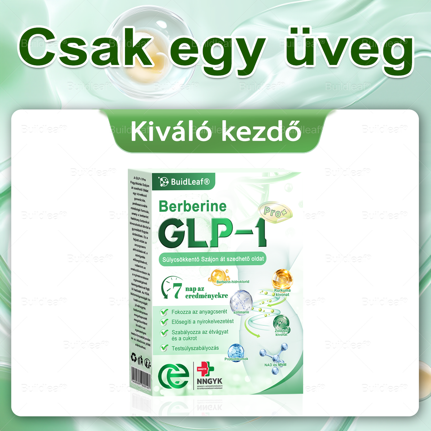 đč Klinikai kutatĂĄsokkal igazolt | A BuildLeafÂź Berberine GLP-1 Pro SĂșlycsökkentĆ SzĂĄjon ĂĄt szedhetĆ oldat segĂthet a makacs sĂșlytöbblet, anyagcsere- Ă©s energiaproblĂ©mĂĄk kezelĂ©sĂ©ben, tĂĄmogatva a jobb közĂ©rzetet Ă©s vitalitĂĄst