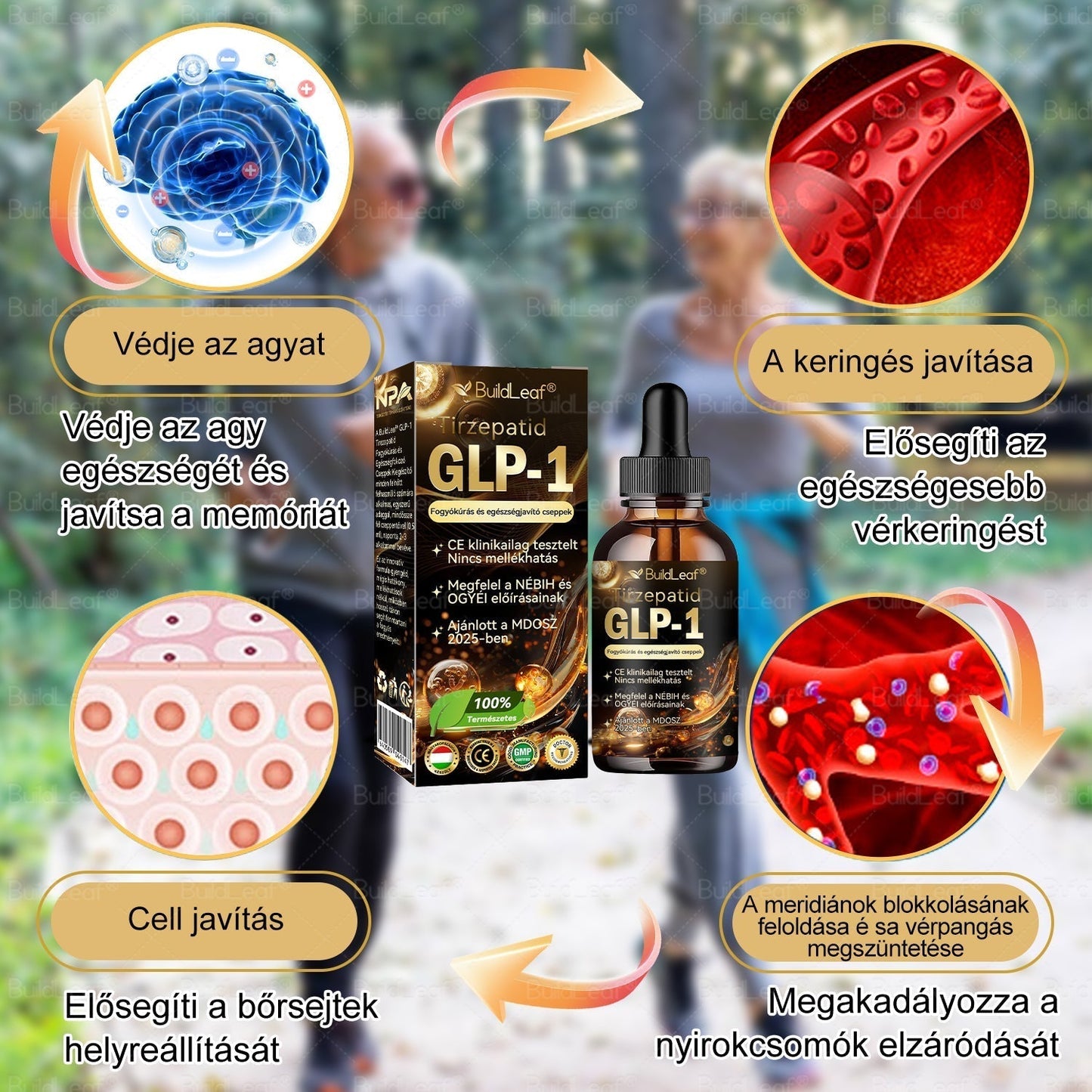💖A Mayo Clinic által ajánlott | Hivatalos üzlet | BuildLeaf® GLP-1 Moringa Fogyókúrás és Egészségfokozó cseppek 🔥 (Élelmiszer-minőségű zsírégető – Az Obesity Society fejlesztése)